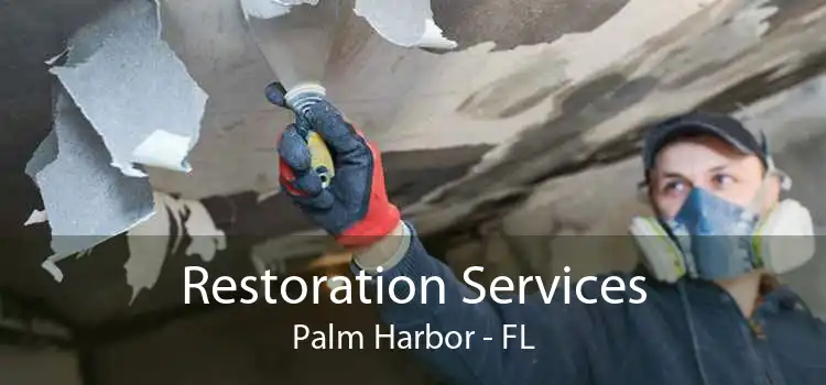 Restoration Services Palm Harbor - FL