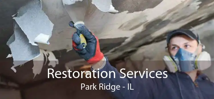 Restoration Services Park Ridge - IL