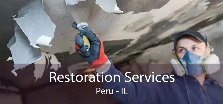Restoration Services Peru - IL