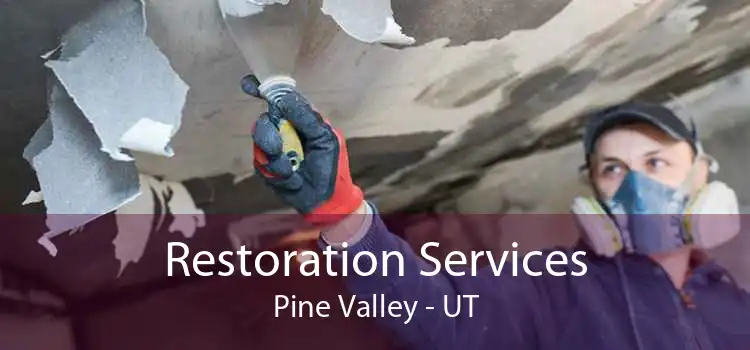 Restoration Services Pine Valley - UT
