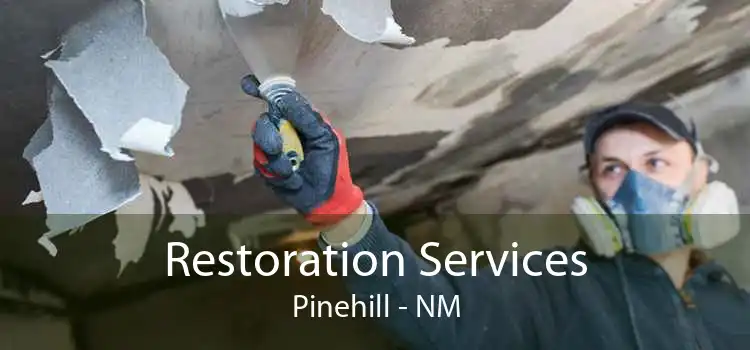 Restoration Services Pinehill - NM