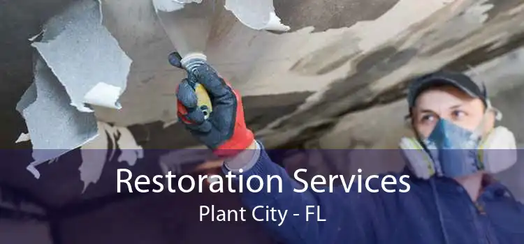 Restoration Services Plant City - FL