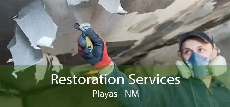 Restoration Services Playas - NM