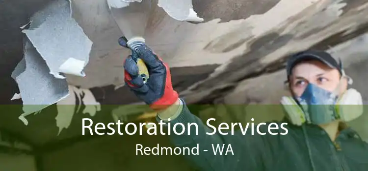 Restoration Services Redmond - WA