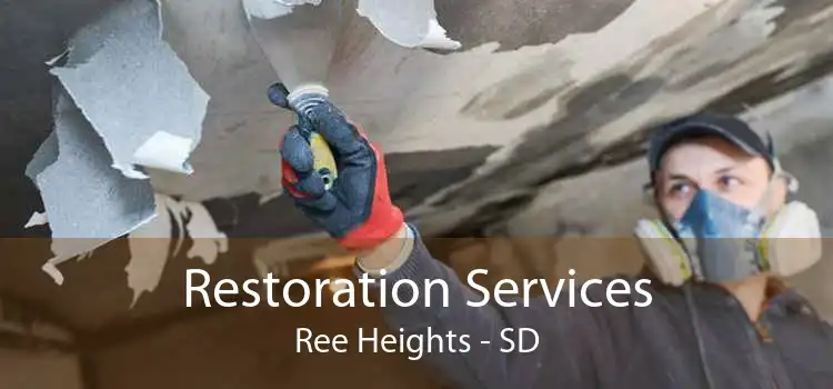 Restoration Services Ree Heights - SD