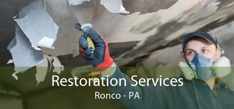 Restoration Services Ronco - PA