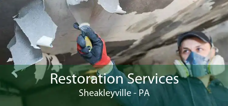 Restoration Services Sheakleyville - PA