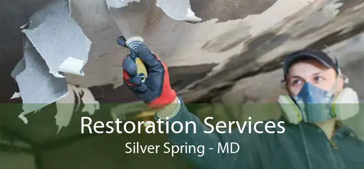 Restoration Services Silver Spring - MD