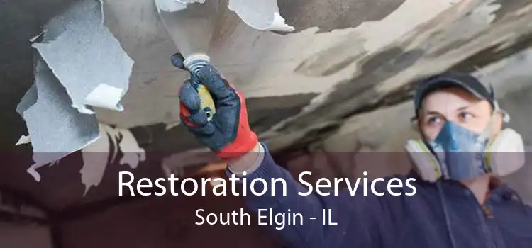 Restoration Services South Elgin - IL