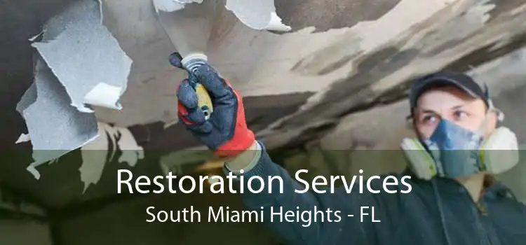 Restoration Services South Miami Heights - FL