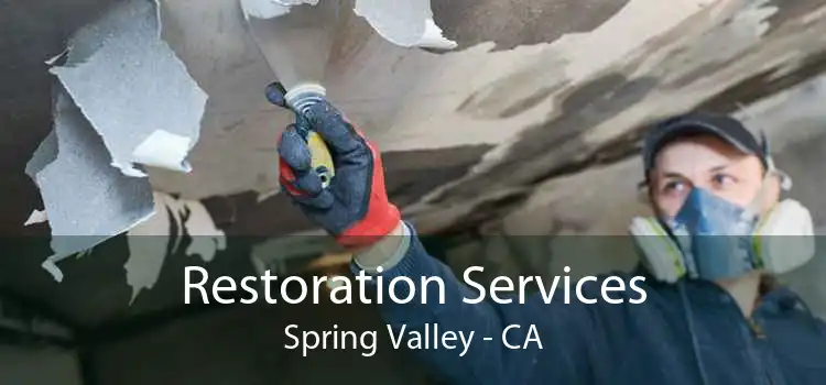 Restoration Services Spring Valley - CA