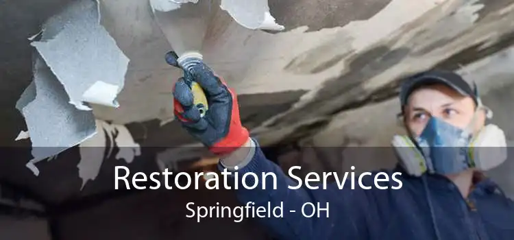 Restoration Services Springfield - OH
