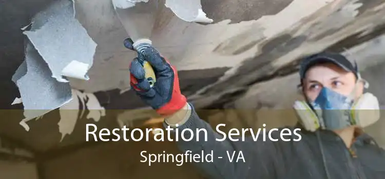 Restoration Services Springfield - VA