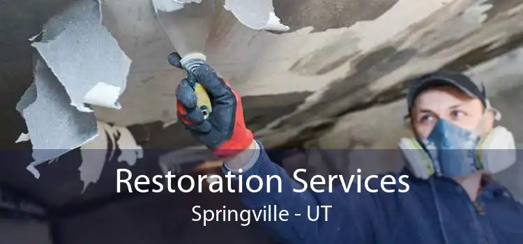 Restoration Services Springville - UT