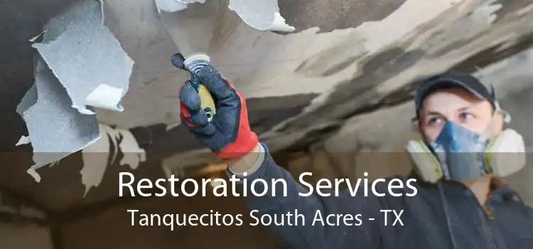 Restoration Services Tanquecitos South Acres - TX