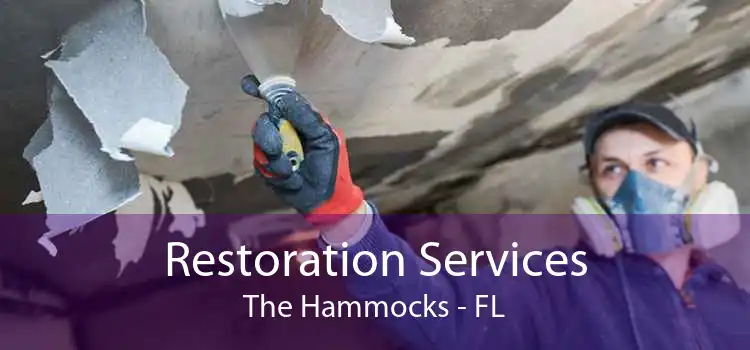Restoration Services The Hammocks - FL