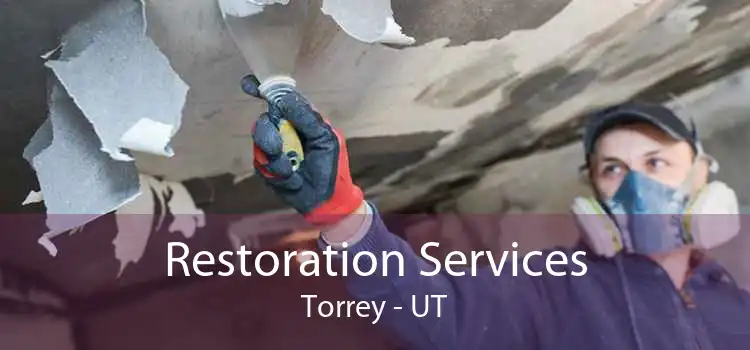 Restoration Services Torrey - UT