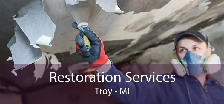 Restoration Services Troy - MI