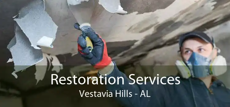 Restoration Services Vestavia Hills - AL