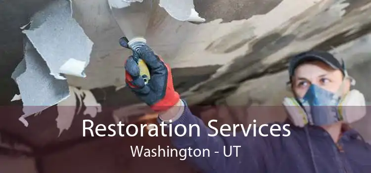 Restoration Services Washington - UT