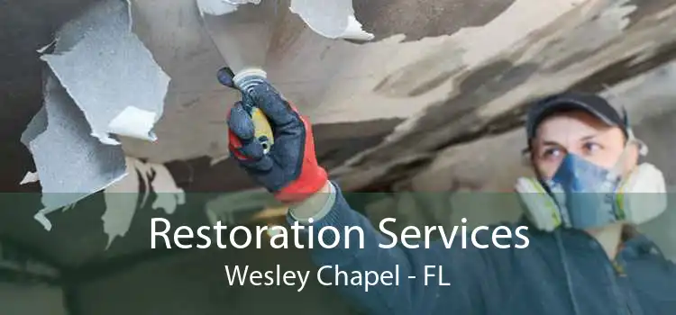 Restoration Services Wesley Chapel - FL
