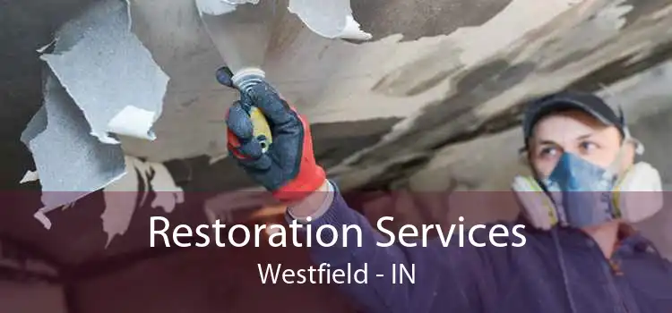 Restoration Services Westfield - IN
