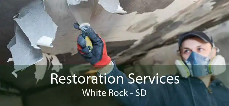 Restoration Services White Rock - SD