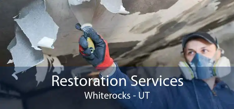 Restoration Services Whiterocks - UT