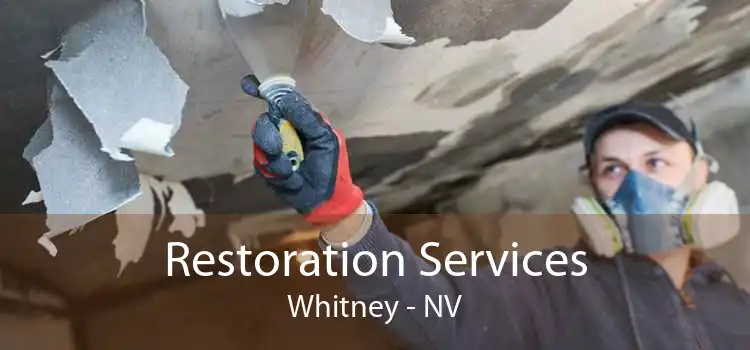 Restoration Services Whitney - NV