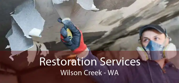 Restoration Services Wilson Creek - WA