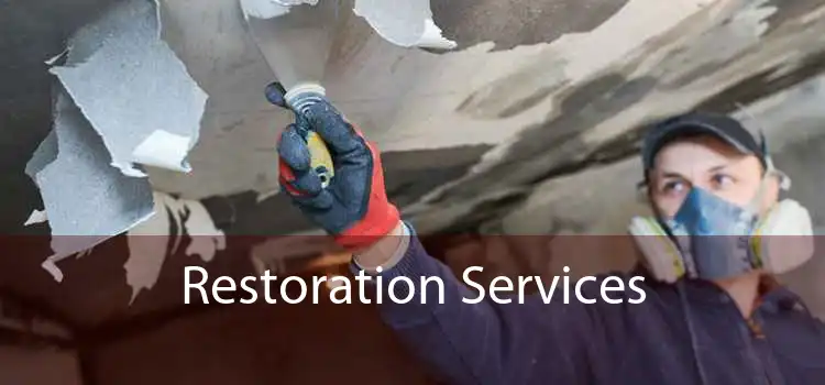 Restoration Services 