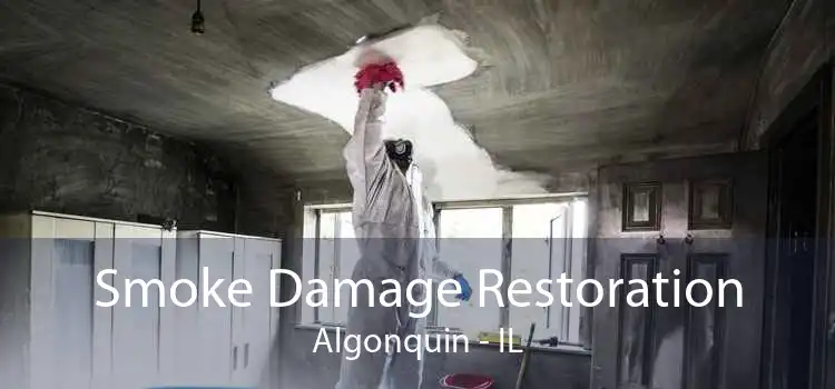 Smoke Damage Restoration Algonquin - IL