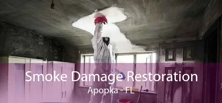Smoke Damage Restoration Apopka - FL