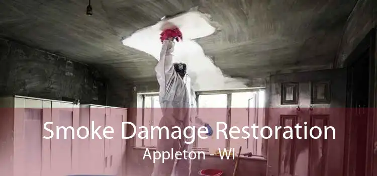 Smoke Damage Restoration Appleton - WI