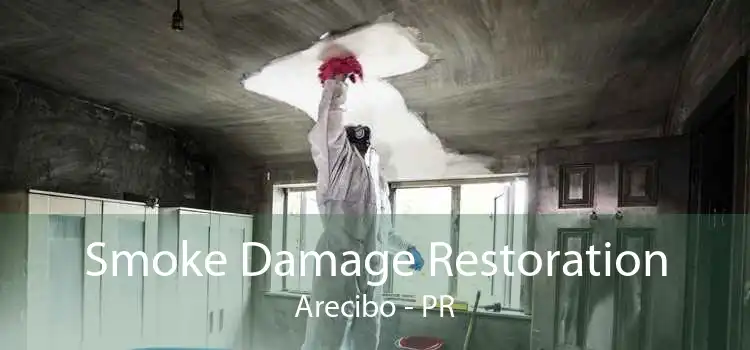 Smoke Damage Restoration Arecibo - PR