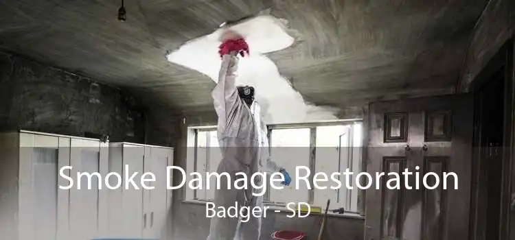 Smoke Damage Restoration Badger - SD