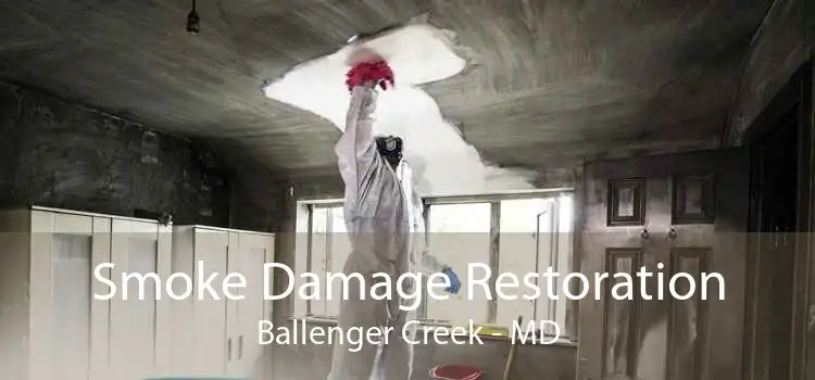 Smoke Damage Restoration Ballenger Creek - MD