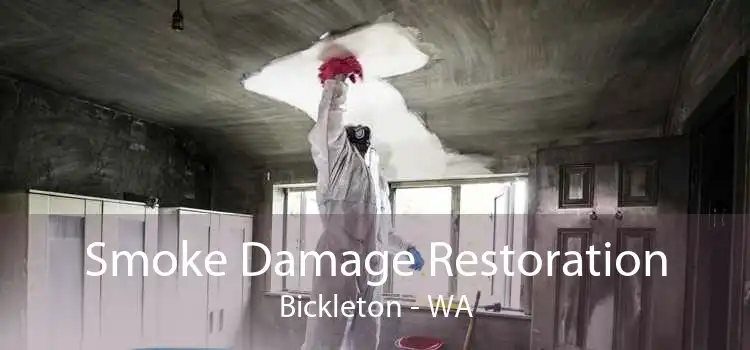 Smoke Damage Restoration Bickleton - WA