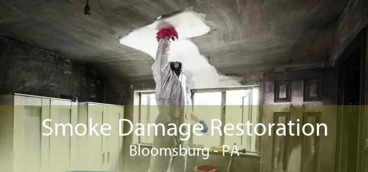 Smoke Damage Restoration Bloomsburg - PA