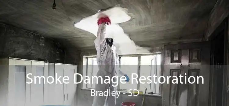 Smoke Damage Restoration Bradley - SD