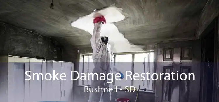 Smoke Damage Restoration Bushnell - SD