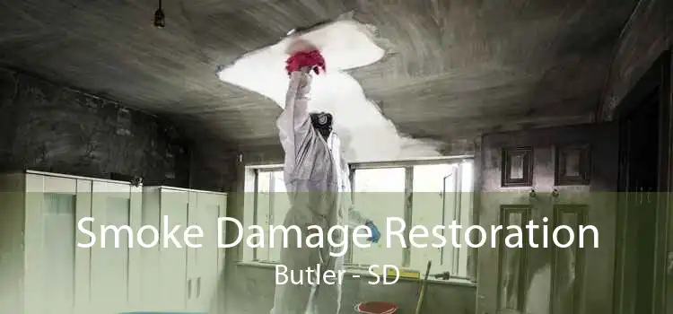 Smoke Damage Restoration Butler - SD