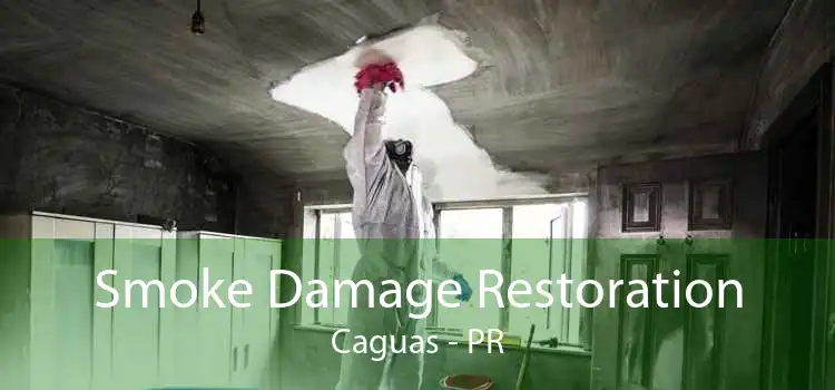 Smoke Damage Restoration Caguas - PR