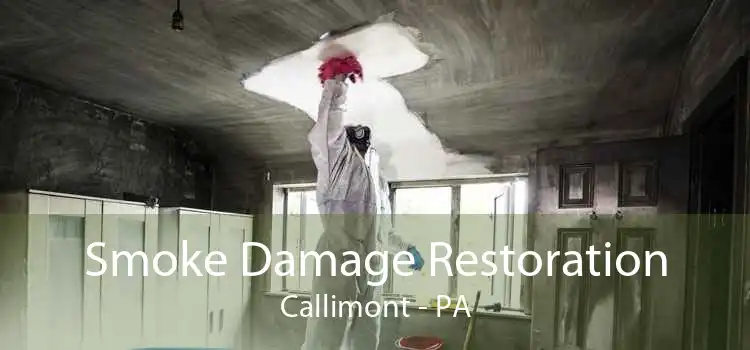 Smoke Damage Restoration Callimont - PA