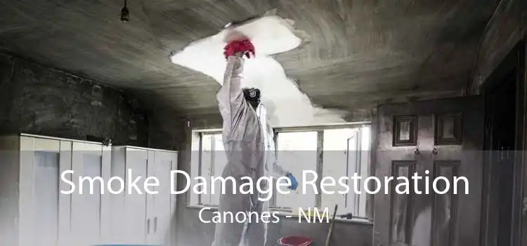 Smoke Damage Restoration Canones - NM