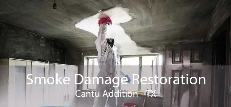 Smoke Damage Restoration Cantu Addition - TX