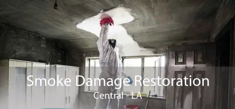 Smoke Damage Restoration Central - LA