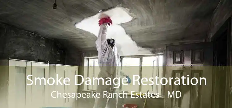 Smoke Damage Restoration Chesapeake Ranch Estates - MD