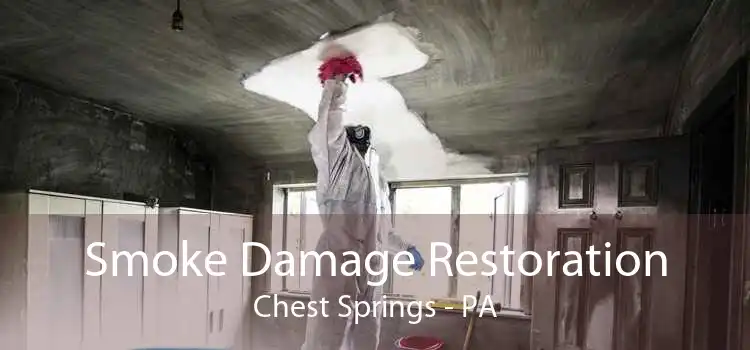 Smoke Damage Restoration Chest Springs - PA