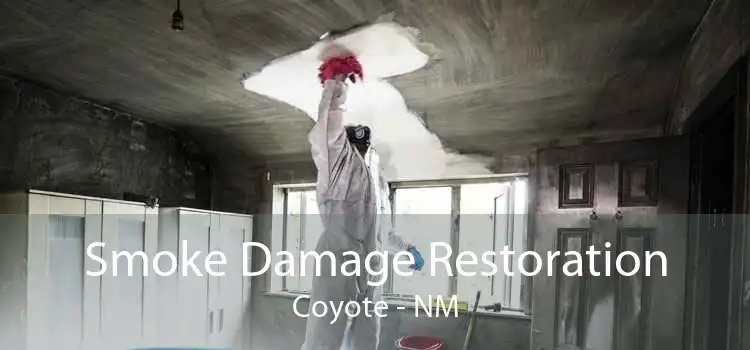 Smoke Damage Restoration Coyote - NM